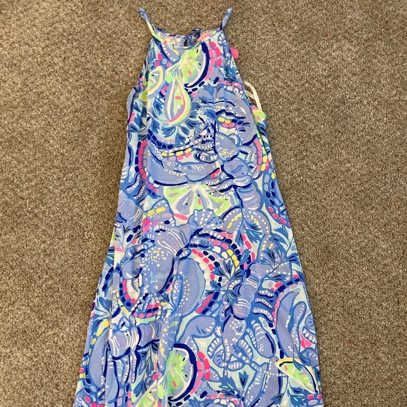 Lilly Pulitzer Swing Dress - Picture 1 of 3